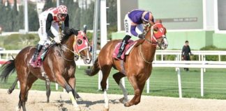 İZMİR TUTTU 2585,34 TL