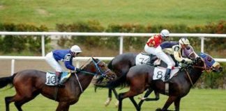 BURSA TUTTU 1022,08 TL