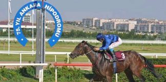 ANKARA TUTTU 1472,14 TL