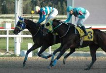 ADANA TUTTU 1482,63 TL