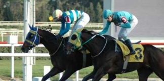 ADANA TUTTU 1482,63 TL