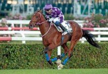 İSTANBUL TUTTU 20681,11 TL