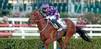 İSTANBUL TUTTU 20681,11 TL