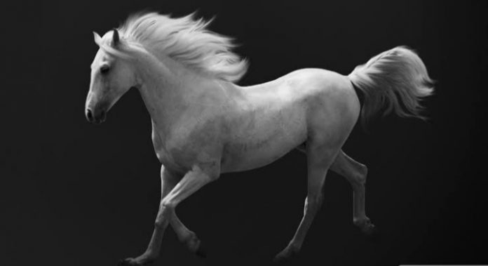 Screenshot_20200711_213054